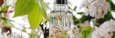 Pachnidła botaniczne - nowy wymiar perfum!